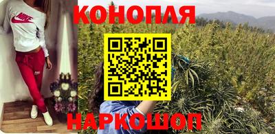 гидра Будённовск