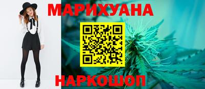 гидра Будённовск