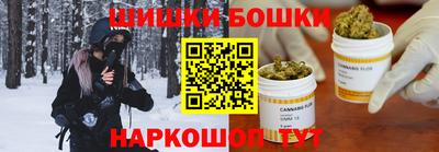 гидра Будённовск