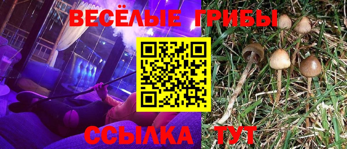 Галлюциногенные грибы Magic Shrooms Киреевск