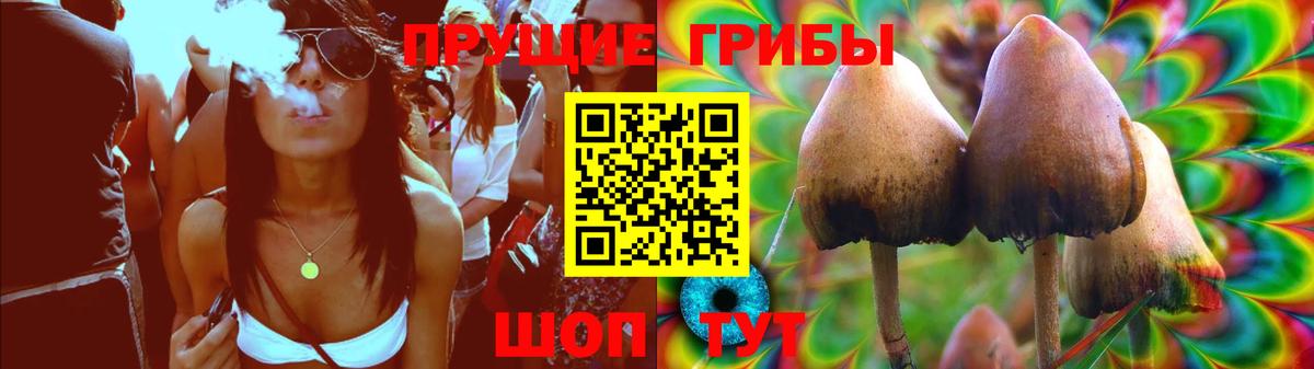 Киреевск  Псилоцибиновые грибы Cubensis  Вход с VPN 